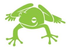 froschsalon-header-e1473775013257