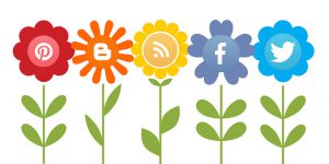 Von der Online-PR zum Social Media Marketing (Gesamtpaket) @ Lernplattform WPLearndash | Zuid-Scharwoude | Noord-Holland | Niederlande